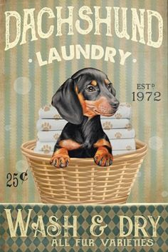 a dachshund laundry sign with a dog in a basket