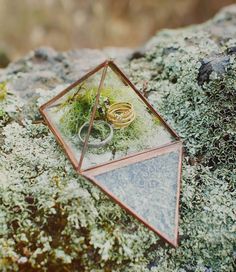 two wedding rings sitting in a glass pyramid on top of a moss covered rock,