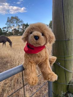 a stuffed dog hanging on a fence post