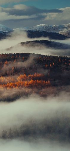 the mountains are covered in clouds and trees