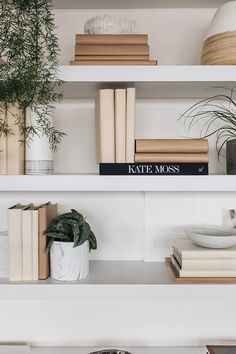 some books and plants are sitting on the shelves