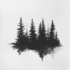 a black and white photo of trees in the foggy sky with water splashing on it