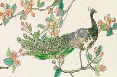 a drawing of a peacock sitting on a branch with flowers in the background and watercolor