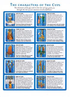 the characters of the cup's poster is shown in blue and yellow colors, with instructions