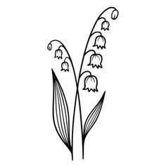 lily of the valley flower drawing