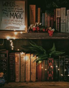 a shelf with books and lights on it