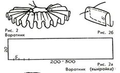 the diagram shows different parts of an insect's body, including its legs and head