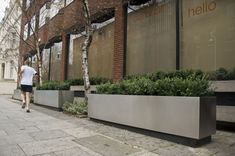 a man walking down a sidewalk next to tall planters