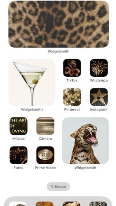 the different types of leopard skin are shown in this graphic style, including an animal - print