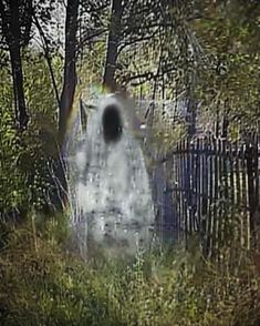 a blurry image of a ghost in the woods