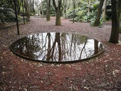 a circular mirror in the middle of a forest with trees and leaves around it, surrounded by red mulch