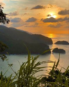 the sun is setting over an island in the middle of the ocean with trees and bushes