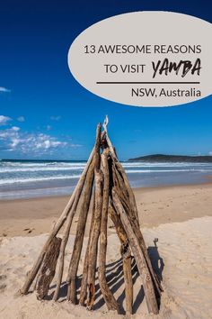 a pile of driftwood sitting on top of a sandy beach