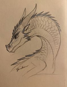 a drawing of a dragon on paper