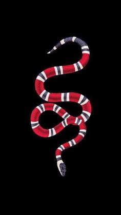 a red, white and black snake on a black background with the word's in it