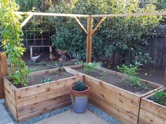 an outdoor garden area with raised wooden planters