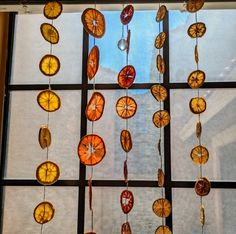 a bunch of oranges hanging from a window