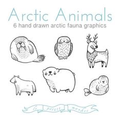 the arctic animals are drawn in black and white, with text that says arctic animals