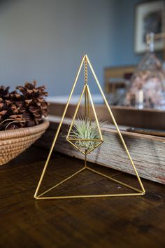 an air plant in a triangle shaped metal holder on a wooden table next to pine cones