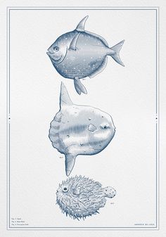 two fish swimming next to each other on top of a blueprinted paper sheet