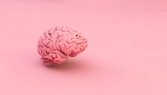 a small pink brain on a pink background