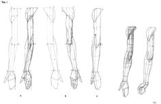 the legs and arms are shown in this drawing