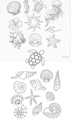 the different types of sea animals are shown in black and white