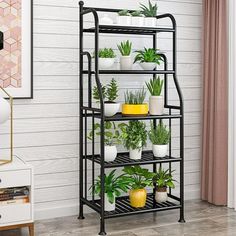 a shelf filled with potted plants on top of a wooden floor next to a window