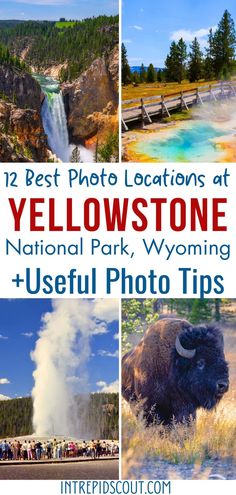 yellowstone national park, wyoming and useful photo tips