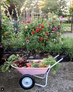 a wheelbarrow filled with lots of different types of flowers