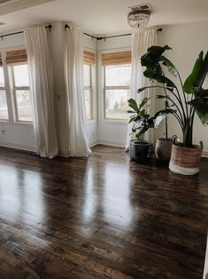 a living room with wooden floors and two plants in the corner on each side of the window sill