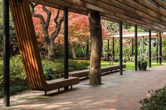 a wooden bench sitting under a pergoline covered roof next to trees and bushes