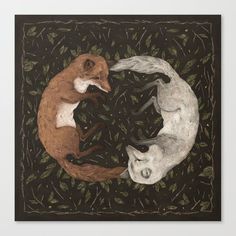 two foxes playing with each other in front of green leaves and black background, one on its hind legs