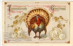 a thanksgiving card with a turkey and eggs on the front, surrounded by other holiday items