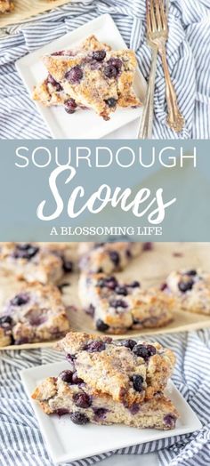 blueberry scones on a plate with text overlay that reads, sourdough scones a blossoming life