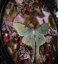 a green moth sitting on top of a pink flower covered table cloth next to a clock