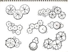 a drawing of different types of trees