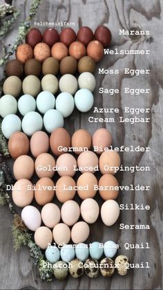 an arrangement of eggs on a table with the names in each egg, and different colors