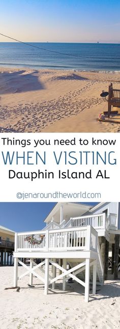 a white bench sitting on top of a sandy beach next to the ocean with text overlay that reads things you need to know when visiting dappin island al