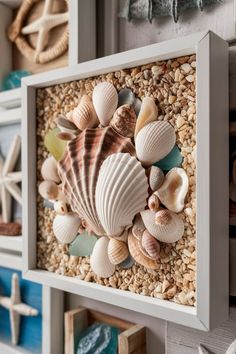 seashells and starfish are displayed on the wall