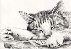 a pencil drawing of a cat sleeping with its head on a remote control and eyes closed