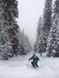 a man riding skis down a snow covered slope next to tall pine tree's