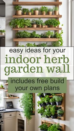 Easy Ideas for your indoor herb garden wall - includes free build your own plans. Images of wooden vertical herb wall planters. Indoor Herb Garden Wall, Indoor Edible Garden, Indoor Container Garden, Indoor Herb Garden Ideas, Garden Wall Ideas, Build Your Own Garden, Herb Garden Wall, Herb Wall, Spice Garden