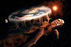 an image of a turtle in space with the caption'los humanos son tan '