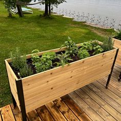 a wooden planter filled with lots of green plants on top of a wooden deck