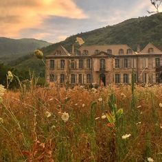 an old house is surrounded by tall grass and wildflowers in front of it