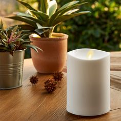 a white candle sitting on top of a wooden table next to potted plants and succulents