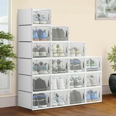 a white shelf filled with lots of shoes next to a potted plant on top of a hard wood floor