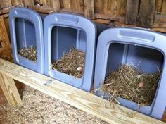 three blue plastic containers with hay in them