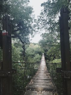 a wooden bridge in the middle of a forest